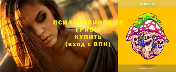 тгк Балахна